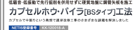 低騒音・低振動で先行掘削を併用せずに硬質地盤に鋼管矢板を施工 カプセルホウ・パイラ[BSタイプ]工法 カプセルで中掘りという発想で護岸改修工事のさまざまな課題を解決しました NETIS登録番号：KK-120018-A